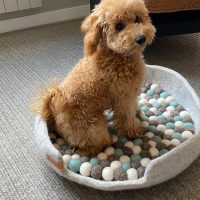 Pet Bed Basket Felt Wool
