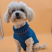Blue Crochet Sweater