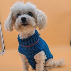 Blue Crochet Sweater